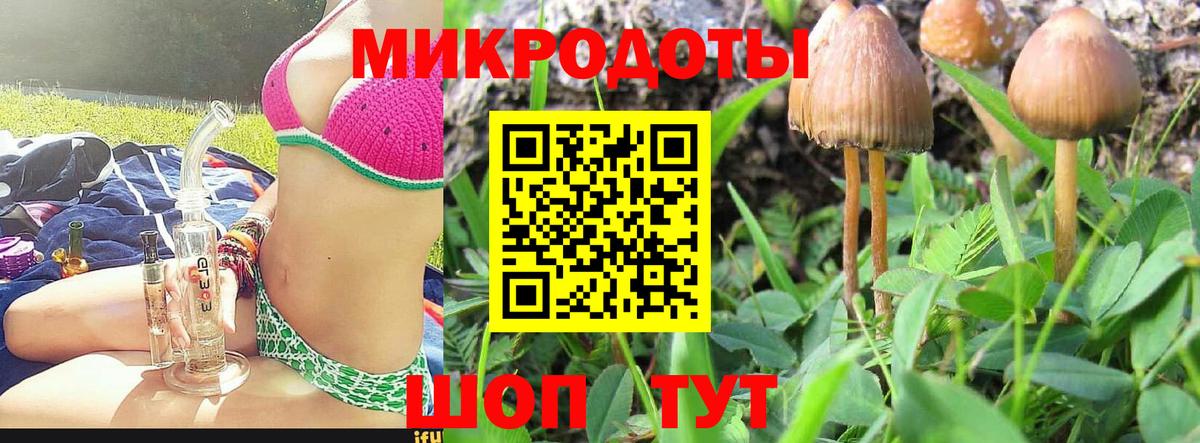 Псилоцибиновые грибы мухоморы Когалым